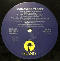 激レア 人気 倉庫出 1991 Screaming Target / Knowledge N Numbers Remix Original UK 12 Island Records 12 IS 499 90s Dub Trip Hop Raga_画像3