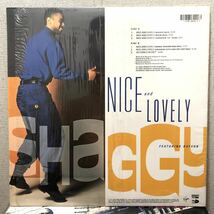 激レア 倉庫出 シュリンク Ragga 1993 Shaggy /Nice And Lovely Feat Rayvon Remix Frankie Cutlass Original US 12 Hiphop Reggae 90s_画像5