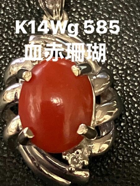 血赤珊瑚・K14Wg・585刻印ダイヤ付ペンダントトップ