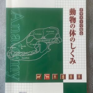 慈慶教育科学研究所の生物教材4冊セット