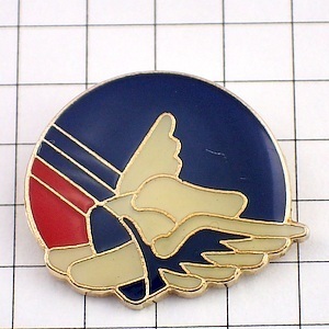  pin badge *go lower z smoke . helmet helmet Celt group * France limitation pin z* rare . Vintage thing pin bachi