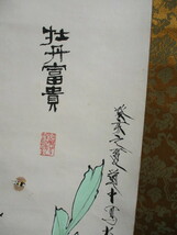 中国有名な書画家　王道中先生　綺麗な牡丹福貴図　肉筆　真作　　本紙サイズ41cmX64　天地52ｘ150ｃｍ　書画管理番号：1　　_画像4