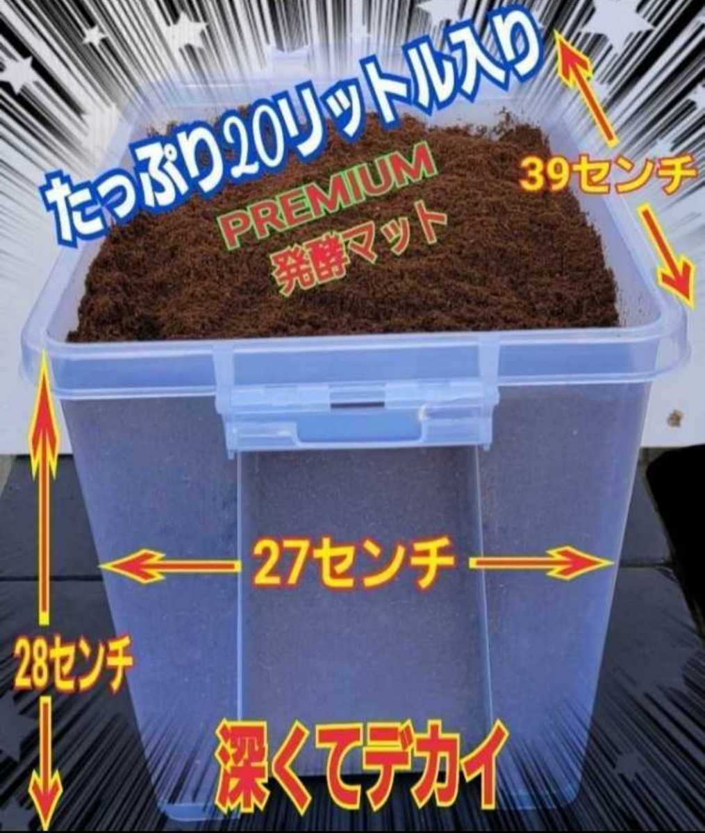 特大ケース付き プレミアム発酵マット20L入り カブトムシ幼虫を入れる