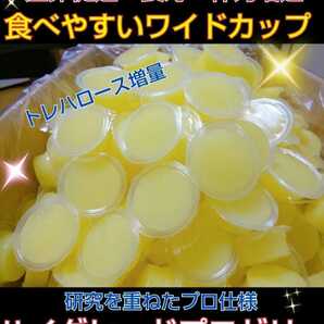 特選　昆虫ゼリー【100個】クワガタゼリー　カブトムシゼリー　産卵促進・長寿効果抜群！トレハロース強化配合！食べやすいワイドカップ