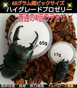  super big size extra-large 65g[30 piece ] high grade stag beetle jelly ingredient ....... highest peak production egg ..* length .* body power increase . rhinoceros beetle jelly 
