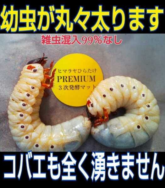 進化した! プレミアム3次発酵カブトムシマット 特殊アミノ酸・共生バクテリア3倍配合 プロ仕様 産卵にも抜群です 雑虫も湧きません