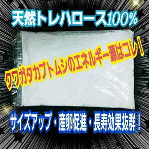 クワガタ・カブトムシ専用栄養添加剤　トレハロース粉末　マットや菌糸・ゼリーに混ぜるだけ！サイズアップ、産卵促進、長寿効果抜群です！