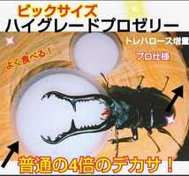 超ビックサイズ！　特大65g　ハイグレードプロゼリー【30個】　成分に拘わり抜いた最高峰　産卵促進・長寿・体力増進に！トレハロース増量 _画像4