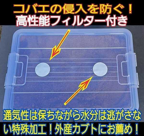 幼虫を入れるだけ！便利！特大ケース入り!プレミアム発酵マット　深い容器なので大型カブトムシ羽化できる！コバエ防止特殊フィルター付き