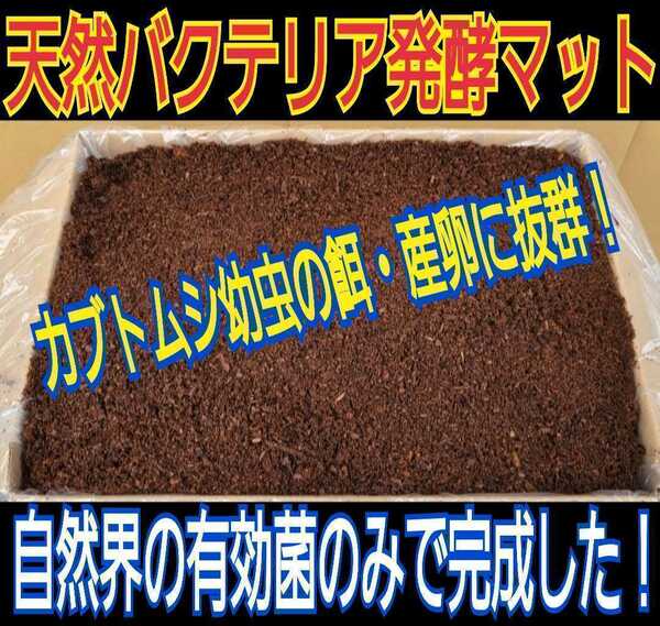 オオヒラタケ菌床天然発酵カブトムシマット(50L)自然界のバクテリアのみで完成しました！　天然に近い環境で幼虫を飼育したい方にお薦め