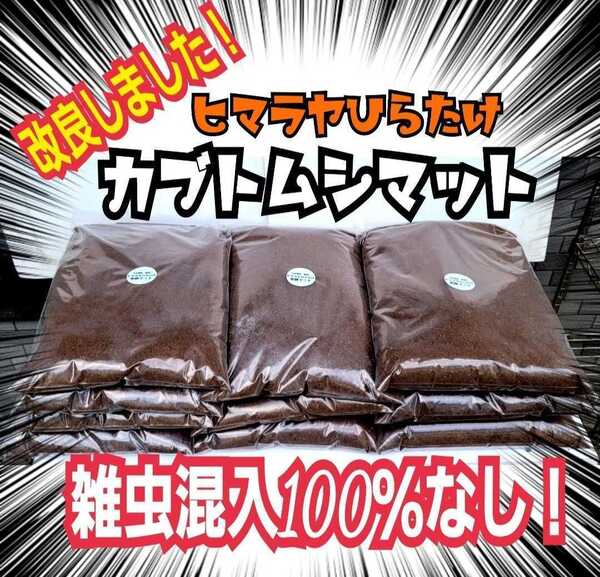 雑虫、コバエがわきません! 改良版☆ヒマラヤひらたけ発酵カブトムシマット【2袋】幼虫の餌・産卵に抜群 栄養添加剤入り 丸々太ります