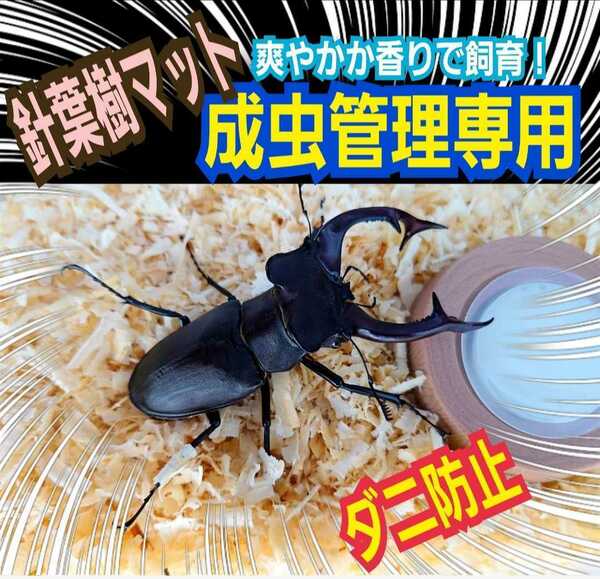 クワガタ、カブトムシの成虫飼育はコレ！爽やかな香りの針葉樹クリーンマット　ケース内が明るくなり生体がカッコ良く見える！ダニ防止にも