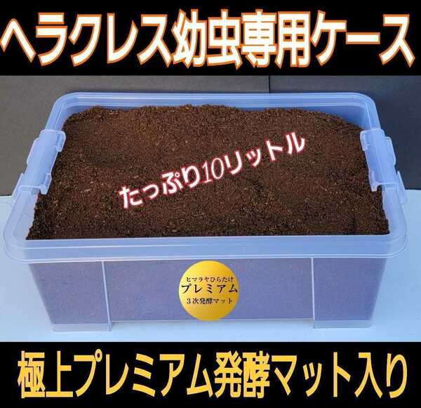 カブトムシ幼虫を入れるだけ！便利です！ケース付きプレミアム3次発酵マット　栄養添加剤、共生バクテリア３倍配合！　雑虫わきません、