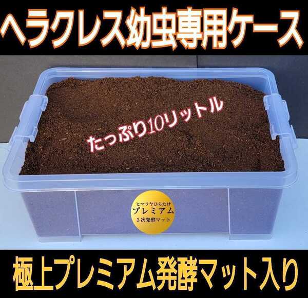 カブトムシ幼虫を入れるだけ!便利です!ケース付きプレミアム3次発酵マット 栄養添加剤、共生バクテリア3倍配合! 雑虫わきません、