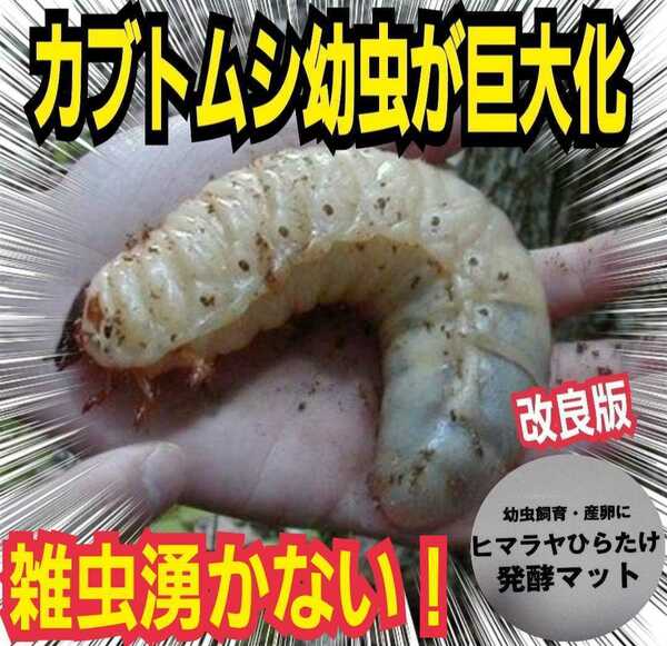 カブトムシ幼虫が大きくなる！改良版　ヒマラヤひらたけ発酵マット【９袋】　産卵にも抜群　栄養添加剤配合　雑虫・コバエがわきません！