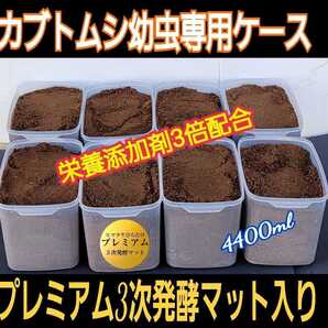 カブトムシの幼虫を入れるだけ!便利です!プレミアム発酵マット4400mlケース付き【8セット】3次発酵!栄養添加剤、共生バクテリア3倍配合