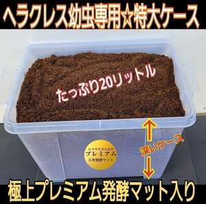  larva . inserting only! convenience! extra-large in the case! premium departure . mat deep container therefore large rhinoceros beetle feather . is possible kobae prevention special filter attaching 