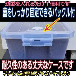 幼虫を入れるだけ！便利！特大ケース入り!プレミアム発酵マット　深い容器なので大型カブトムシ羽化できる！コバエ防止特殊フィルター付き