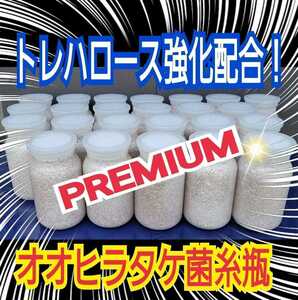 極上☆オオヒラタケ菌糸瓶1100ml【10本】トレハロース・ローヤルゼリー・アルギニン強化配合　1番菌(初菌)のみで作成　クヌギ100％オガ原料