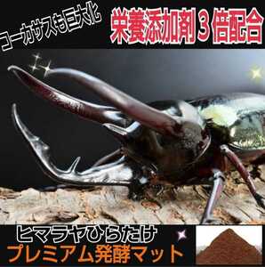 進化した！プレミアム3次発酵カブトムシマット【3袋】微粒子・特殊アミノ酸　共生バクテリア栄養添加剤３倍配合プロ仕様　雑虫も湧かない