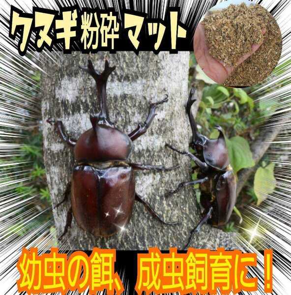 クヌギ朽木マット☆自然の栄養価たっぷり！カブトムシマットに混ぜて栄養強化に！天然に近い環境で育てたい方にお薦め！良い香りがします！