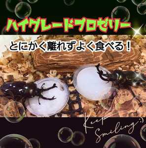 極上！ハイグレード　クワガタゼリー　カブトムシゼリー【100個】トレハロース強化！産卵数アップ、長寿効果に！食べやすいワイドカップ　