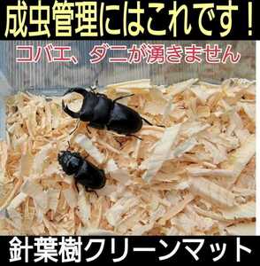 クワガタ、カブトムシの成虫飼育はコレ！爽やかな香りの針葉樹クリーンマット　ケース内が明るくなり生体がカッコ良く見える！ダニ防止にも