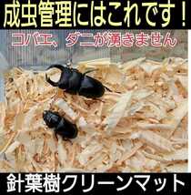 クワガタ・カブトムシの成虫飼育にはコレ！爽やかな香りの針葉樹マット【40L】ケース内が明るくなり生体がカッコ良く見える！ダニ防止にも_画像10