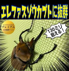 ゾウカブト系のブリーダーにも大好評です！極上　プレミアム3次発酵マット【9袋】特殊アミノ酸・共生バクテリア３倍配合　産卵にも抜群です