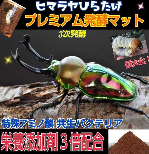 ニジイロクワガタに抜群! 進化した!プレミアム3次発酵マット【2袋】微粒子 トレハロース配合 産卵にも最適 ギネスサイズ羽化実績あり