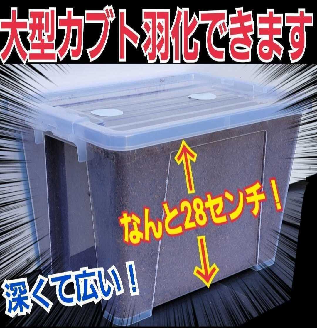 特大ケース付き プレミアム発酵マット 幼虫を入れるだけ 便利 でかい