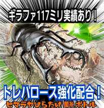 超ビック☆2300mlヒマラヤひらたけ菌糸ボトル☆外産ヒラタやギラファなど大型クワガタを羽化させたい方に！トレハロース・キトサン強化配合_画像10