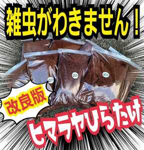 雑虫、コバエがわきません！　改良版　発酵カブトムシマット【３袋】幼虫の餌・産卵に抜群　栄養添加剤入り　ギネスサイズ羽化実積多数あり