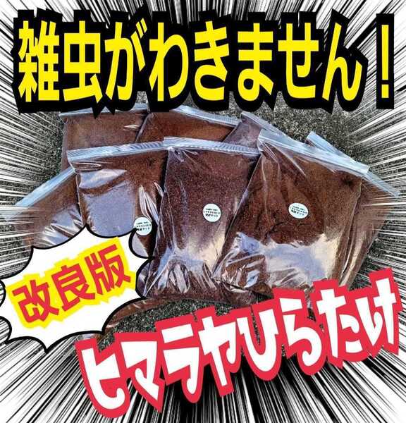 雑虫、コバエがわきません! 改良版 発酵カブトムシマット【3袋】幼虫の餌・産卵に抜群 栄養添加剤入り ギネスサイズ羽化実積多数あり