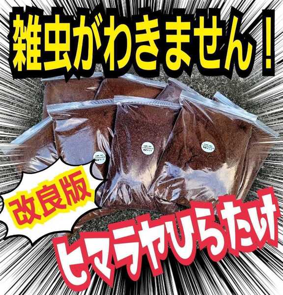 雑虫、コバエがわきません! 改良版☆発酵カブトムシマット【3袋】幼虫の餌・産卵に抜群 栄養添加剤入り ギネスサイズ羽化実積多数あり
