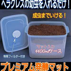 ヘラクレスの幼虫を入れるだけ！便利です！プレミアム発酵マット4400mlケース付き☆微粒子3次発酵！栄養添加剤・共生バクテリア３倍配合の画像2