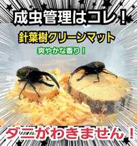 クワガタ・カブトムシの成虫飼育にはコレ！爽やかな香りの針葉樹マット【20L】ケース内が明るくなり生体がカッコ良く見える！ダニ防止にも_画像6