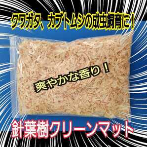 クワガタ、カブトムシの成虫飼育はコレ！爽やかな香りの針葉樹クリーンマット　ケース内が明るくなり生体がカッコ良く見える！ダニ防止にも