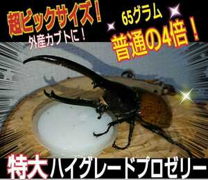 超ビックサイズ！特大65g【50個】ハイグレードカブトムシゼリー　成分に拘わり抜いた最高峰　産卵促進・長寿・体力増進　クワガタゼリー　