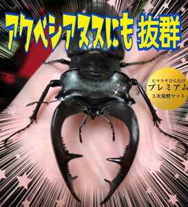 ミヤマクワガタに抜群！　進化した！プレミアム3次発酵マット【2袋】　微粒子　トレハロース配合　産卵にも最適　ギネスサイズ羽化実績あり