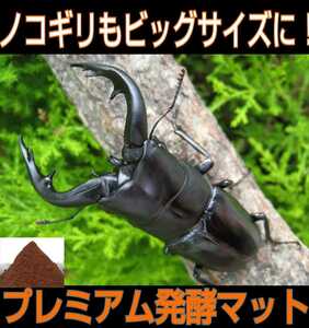  evolved! special selection premium 3 next departure . stag beetle mat nutrition addition agent * symbiosis bacteria 3 times combination!tore Hello s* special amino acid strengthen bin .... only 