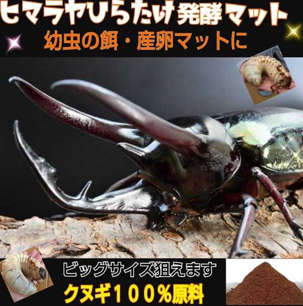 カブトムシ幼虫が大きくなる!改良版☆発酵マット【たっぷり20袋】便利なチャック付き袋 産卵にも抜群 栄養添加剤配合 雑虫が湧かない
