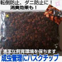 カメの飼育床材はコレが一番！良質ハスクチップ5リットル袋☆厳選した良質な天然素材100％ 通気・保水性に優れ清潔な環境をつくります_画像8