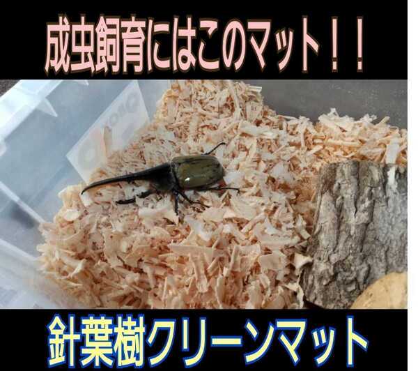 カブトムシ、クワガタの成虫管理にどうぞ!爽やかな香りの針葉樹マット☆ケース内が明るくなり生体が目立ちかっこよく見える ダニ湧かない