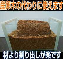 カブトムシ幼虫の栄養強化に！椎茸菌床ブロック【8個】クヌギ100％ ブロックのまま発酵マットに埋め込むだけで幼虫がモリモリ食べます！_画像10