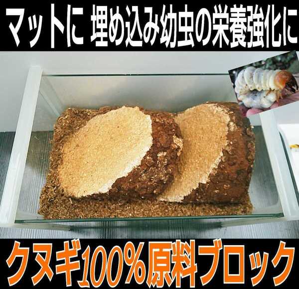 カブトムシ幼虫の栄養強化に! 椎茸菌床ブロック【3個】クヌギ100% ブロックのまま発酵マットに埋め込むだけで幼虫がモリモリ食べます!