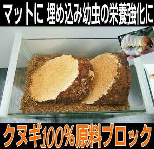 カブトムシ幼虫の栄養強化に！　椎茸菌床ブロック【3個】クヌギ100％ ブロックのまま発酵マットに埋め込むだけで幼虫がモリモリ食べます！