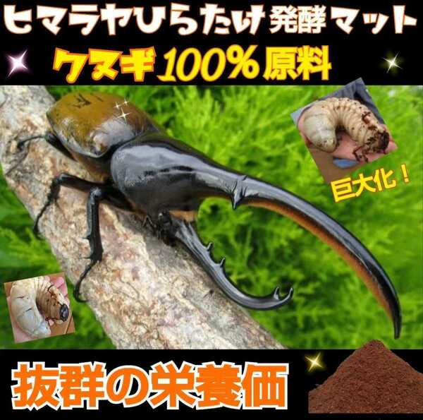 カブトムシ幼虫が大きくなる 発酵マット【たっぷり30袋】便利なチャック付袋 産卵にも抜群 ギネスサイズ羽化実積あり 雑虫が湧かない