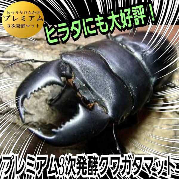 ヒラタクワガタに抜群! 進化した!プレミアム3次発酵マット【5袋】微粒子 トレハロース配合 産卵にも最適 ギネスサイズ羽化実績あり