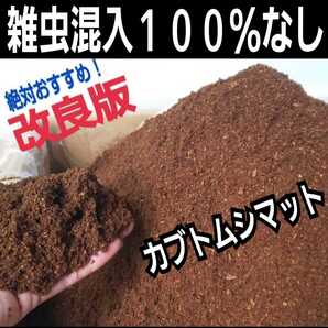 【改良版】雑虫混入全くなし! コバエも湧かない ヒマラヤひらたけ発酵カブトムシマット 幼虫の餌・産卵に!栄養添加剤入り 丸々太る!